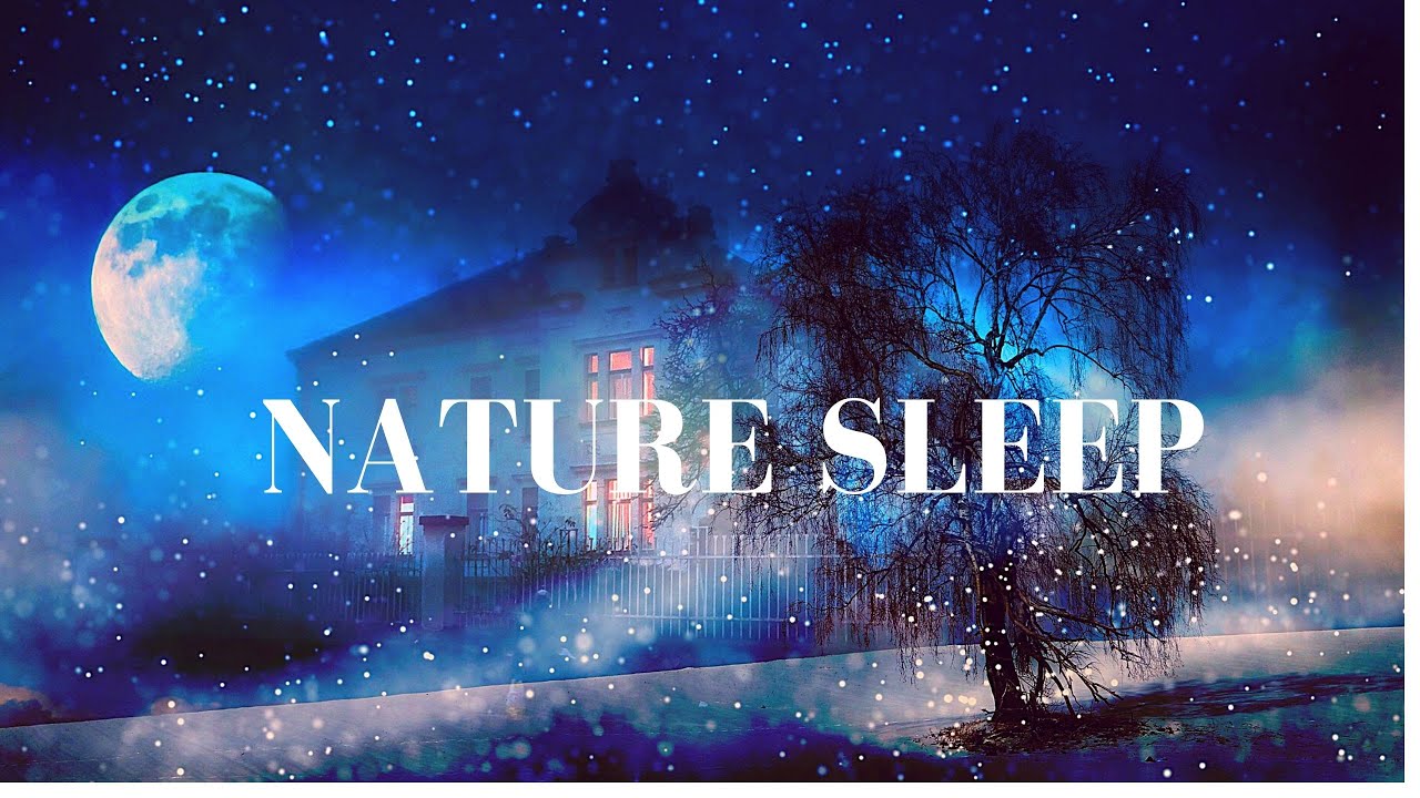 NATURE SLEEP Sleep Music, Deep Sleep, Quiet Sleep, Meditation Music