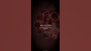 سورة المؤمنون اية 12 14