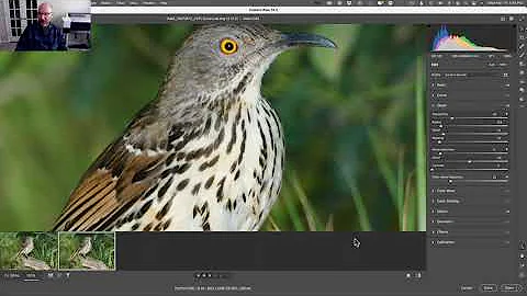 Adobe Camera Raw: Super Resolution
