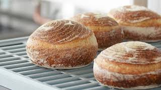 Baking & Pastry Arts Program at Conestoga College