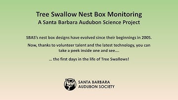 Tree Swallow Nest Box Monitoring
