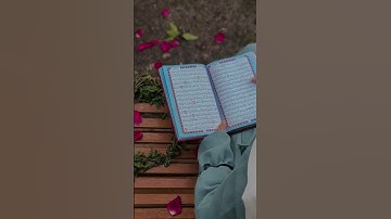 #سورة_الإخلاص #egzonibrahimi #اكسبلور #lifeisbutadream