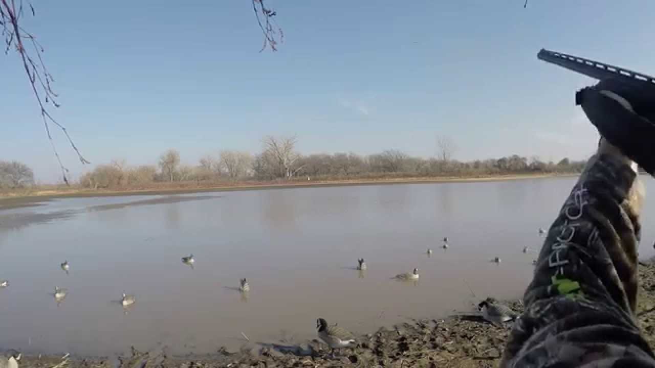 Mossberg 935 - Duck hunting - GoPro Hero4 Silver - YouTube