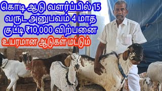 15 years successful goat farm | Successful goat farm tamilnadu | S K T goat farm  | kalnadai tholan