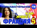 Как живёт Франция 5 (Познавательное ТВ, Елена Рычкова)