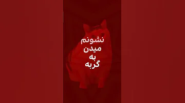 بلند نخند اشیین سیکیم 