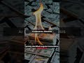 Tech Startup Theft Exposed by AI #Shorts