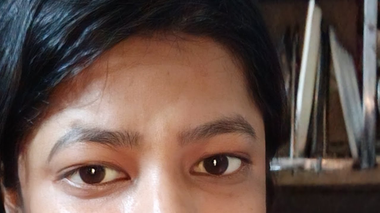 सामान्य ज्ञान प्रश्न //gk general knowledge all exam important questions #gk #ssc #cgl #ias#live