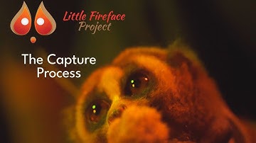 #howto Slow Loris -The Capture for Process for Radio Tracking and Measuring -Little Fireface Project