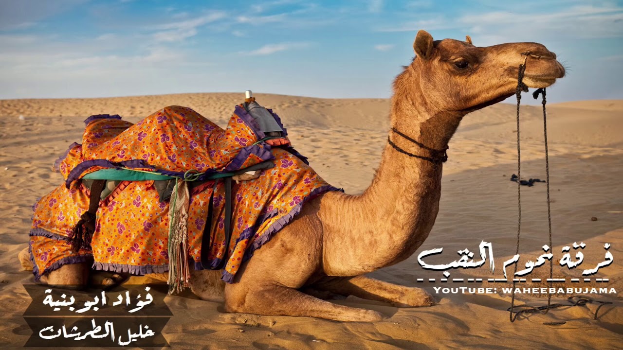 دسك 2019 فرقة نجوم النقب | لهجه حزينة | فؤاد ابو بنية وخليل الطرشان