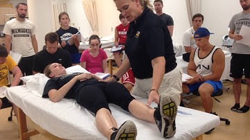 HIP palpation, ROM, MMT of IR and ER