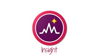 Lumesse - Insight_DE