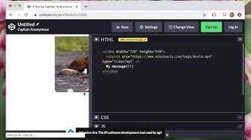 Topics - Html: The HTML Video Element