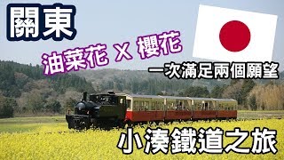 日本 關東賞花- 油菜花x 櫻花- 小湊鐵道之旅｜SOSAD Travel