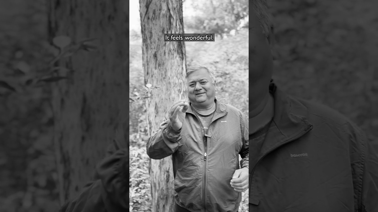 Eucalyptus trees are not bad!