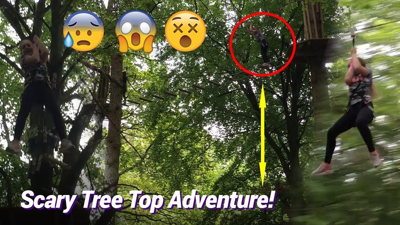 Tree Top Adventure Go Ape Temple Newsam Leeds Ziplines Cargo Nets See The Children S Courses Youtube