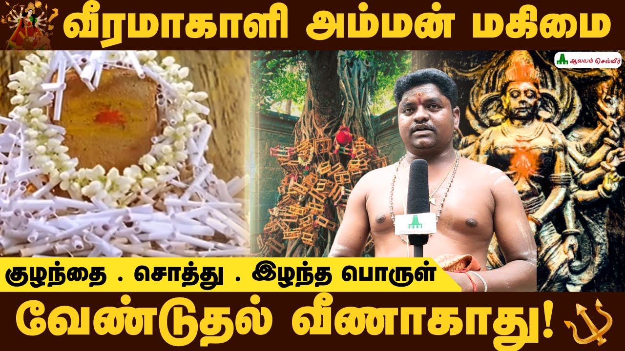 இங்கு வேண்டி நிறைவேறாதது ஏதும் இல்லை!! மிகவும் சக்தி வாய்ந்த வீரமாகாளி அம்மன்| Aalayam Selveer