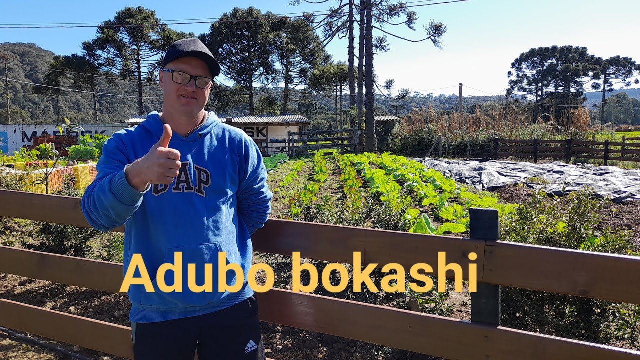 ROÇA DE MIRTILO EM URUBICI