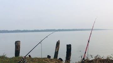 Câu cá sông , vàm cỏ gò công