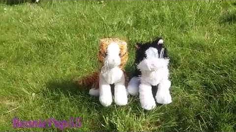 Mid-Year Webkinz Mashup MEP part 17 for Magic Panda