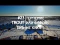 Trout Tips #23. Ловля пассивной форели.