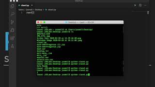 Python - Aplicación en consola básica desde 0 (Parte 1)