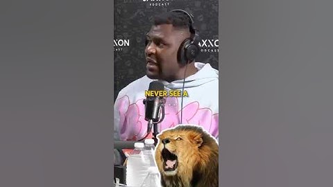 😱Francis Ngannou has NEVER seen a LION?🦁 #ufc #mma #rampagejackson #francisngannou #funny #shorts