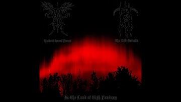 Ancient Boreal Forest & The Cold Domain - In The Land of High Fantasy (2017) (Dungeon Synth)