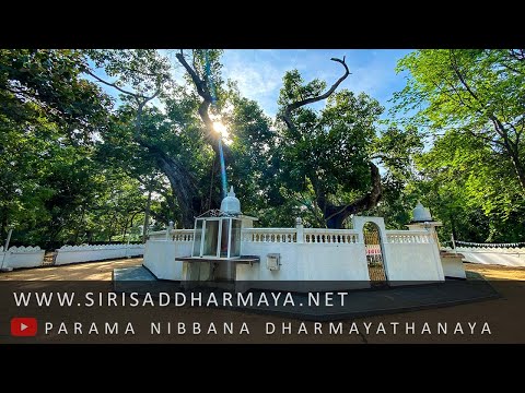 චූළහත්ථිපදොපම​ සුත්තං