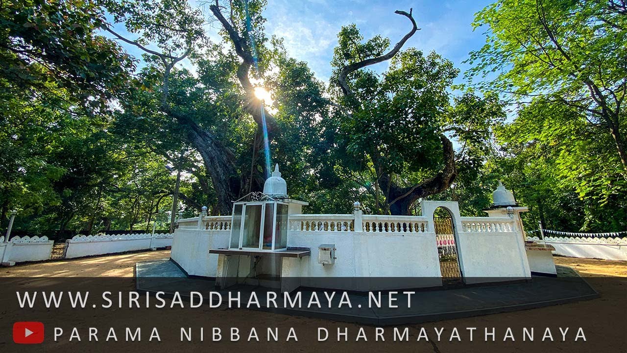 චූළහත්ථිපදොපම සුත්තං​ (වෙසක් පොහොය 2023) | සිරි ධම්මාලංකාර මහා අරිහත් බුදුපියානන් වහන්සේ