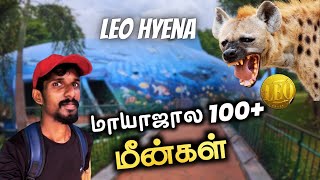 Vandalur Zoo Fish Aquarium | Arignar Anna Zoological park | Ep2