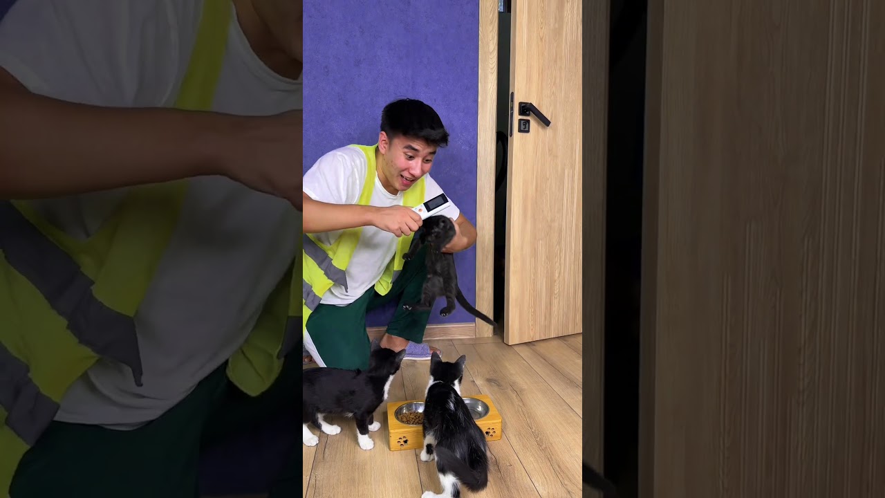 I love you cats ❤️😱
