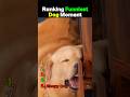 Ranking Funniest Dog Moments😱 #shorts #dog #funny