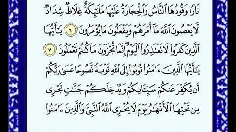 سورة التحريم للشيخ ماهر المعيقلي