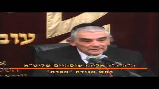 דוקטור אלי שוסהיים - דוד בן גוריון בעד ריבוי ילודה