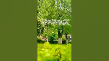 أكتب شيء تؤجر عليه✨ولاتنسى المتابعة #قران_كريم #قرآن #quran #دعم_اليوتيوب #دعم #سورة_الملك #اكسبلور