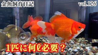 水槽サイズと、入れられる金魚の数は？1匹あたりの水量目安は？