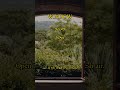 Learn English Word 'Window' #Farsi #Window @LearnEnglishPersian