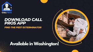 Pest control & Exterminators contractors in Washington!