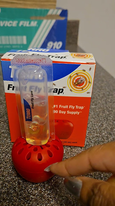 Get rid of fruit flies FAST! #Terro #fruitflies #fruitflytrap