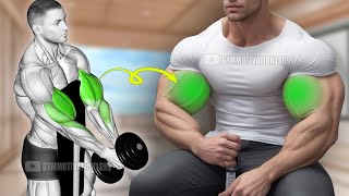 6 Exercises to Get Huge Biceps Fastest
