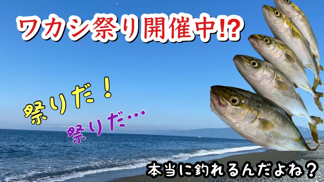 西湘サーフでわかし爆釣してる ちょっと早い夏の青物祭り 弓角とジグ持って行ってきます Youtube