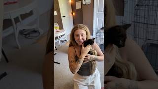 Surprising my girlfriend with a KITTEN