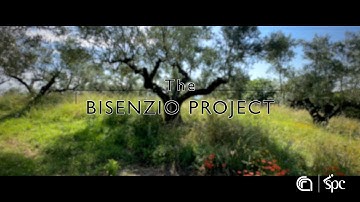 Campagna 2023/08 - Soundings