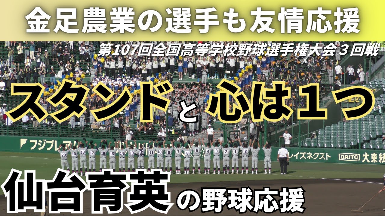【須江監督の娘さんもすっかりチアの一員に】仙台育英高等学校の野球応援 2025年8月17日 全國高等学校野球選手権大会３回戦 沖縄尚学戦