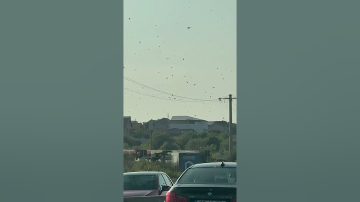 Când vrei să culci copiii și ce fac ei de fapt 😂.  #costel #trendingshorts #trending #trend