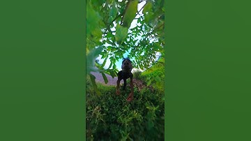 😳Insta360 camera Funny video #insta360 #funny #video #vlog