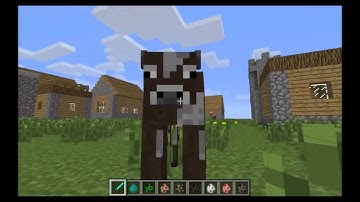 morph mod 1.6.4 minecraft video