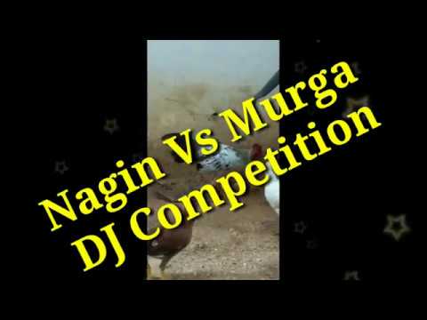 Nagin Vs Murga DJ Competition Dance Mix Nagin Murga Music Remix 208 - YouTube