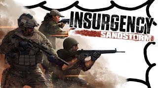 Insurgency Sandstorm Review - A Sheepish Look At (Video Game Video Review)